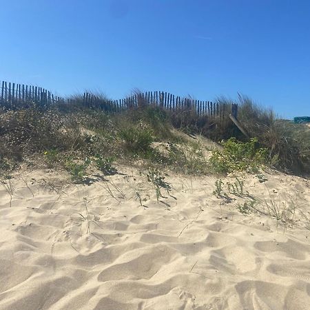 Vue Sur Dunes ! سانجات المظهر الخارجي الصورة