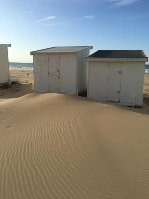 Vue Sur Dunes ! سانجات المظهر الخارجي الصورة