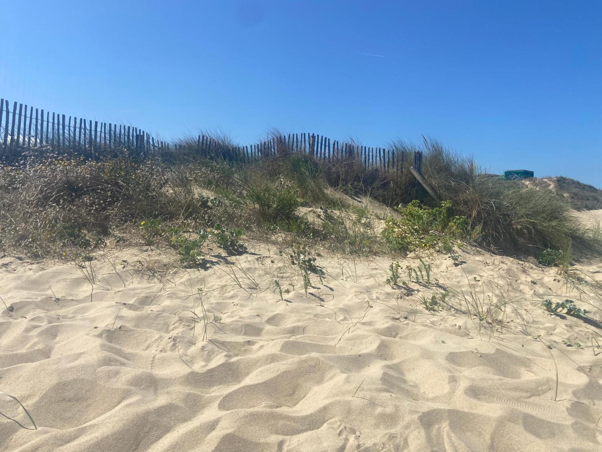 Vue Sur Dunes ! سانجات المظهر الخارجي الصورة
